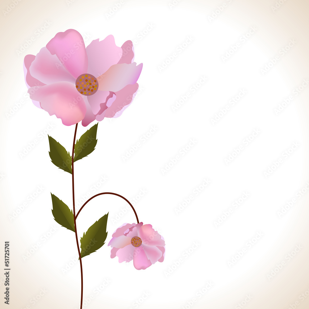 Naklejka premium Abstract beautiful floral background with flowers.