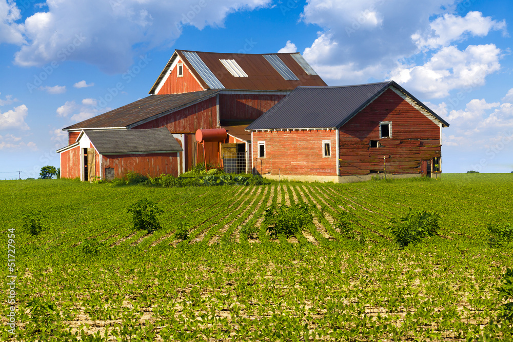 American Countryside