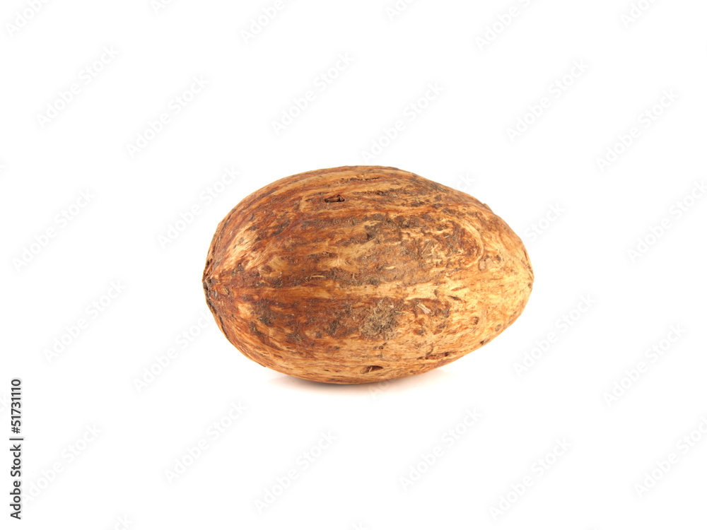 Isolated nutmeg on a white background. Nut. Isolated nutmeg on a white background. Nut.