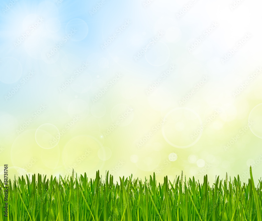 Spring abstract nature background