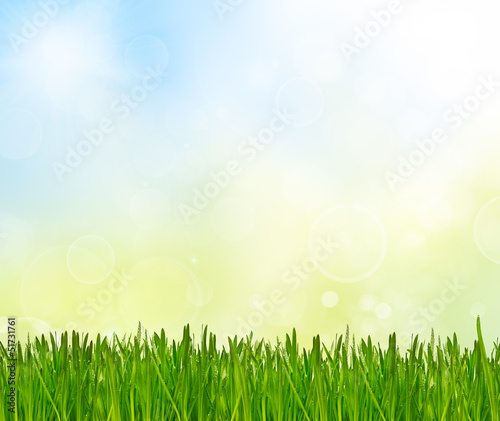 Spring abstract nature background