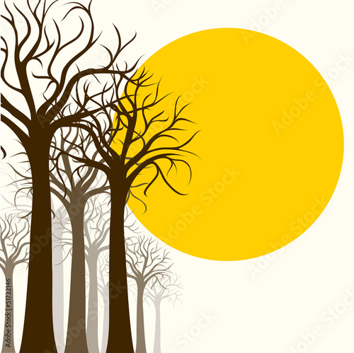 Tree silhouette, outline on white and sun © nikolya