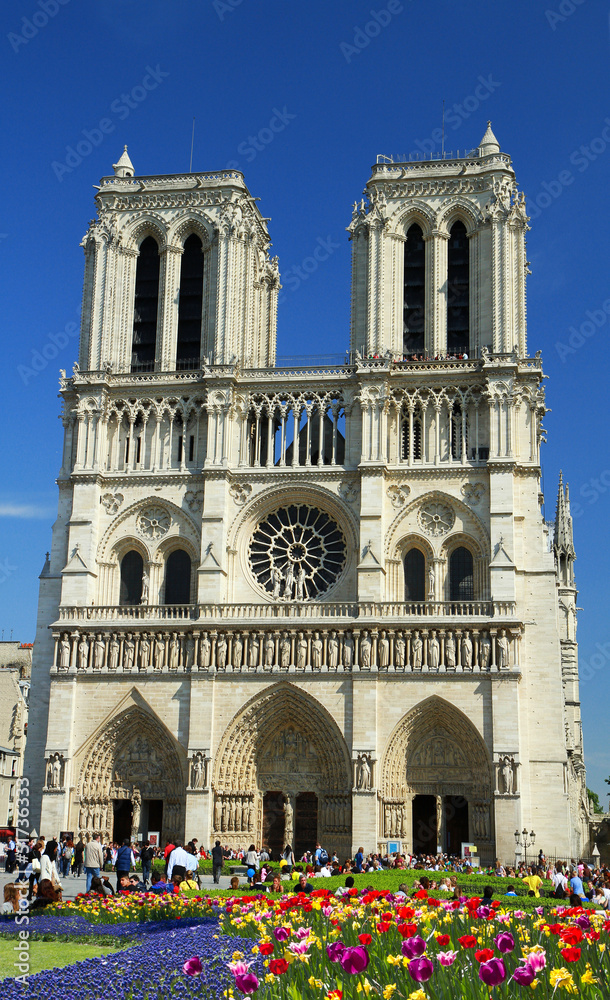 Fototapeta premium Notredame, Paris