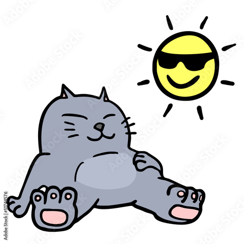 Cat and sun