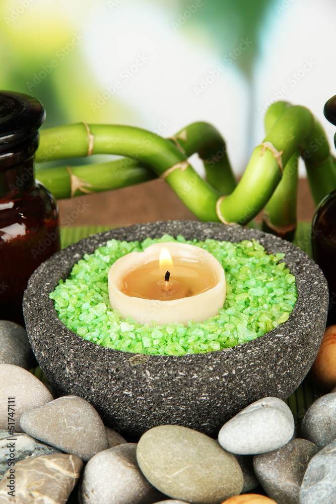Still life with green bamboo plant and stones,