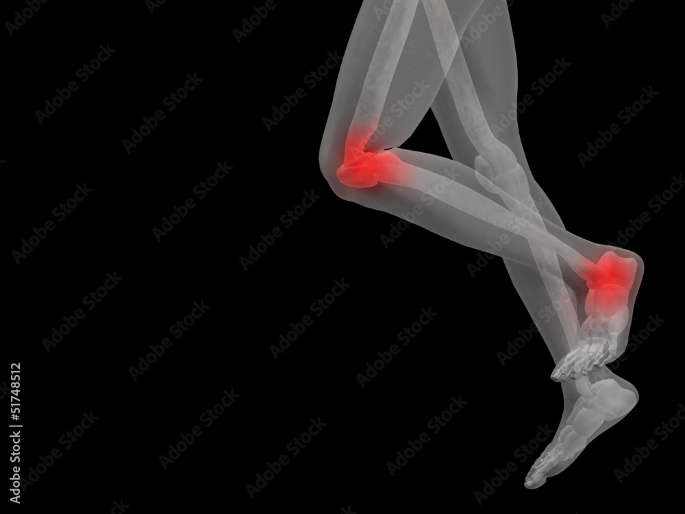 Obraz premium High resolution 3D human for anatomy,medicine and health