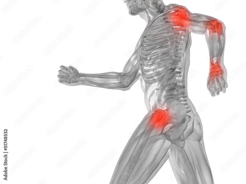 High resolution 3D human for anatomy,medicine and health High resolution 3D human for anatomy,medicine and health