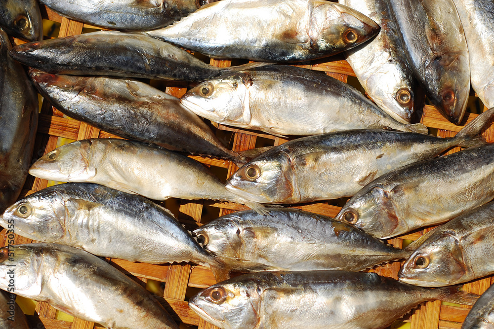 Obraz premium Dried fish