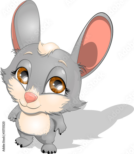 rabbit
