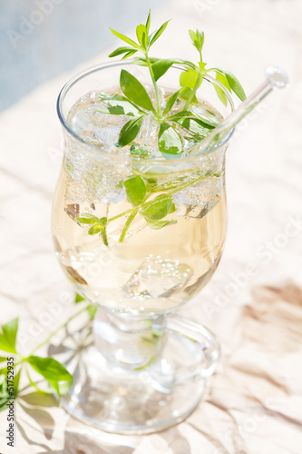 Maibowle mit frischem Waldmeister