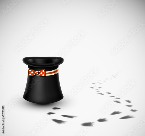 Magician hat