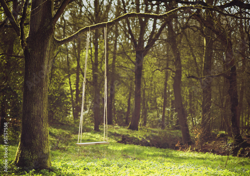 Romantic scene of a swing hanging from tree branch