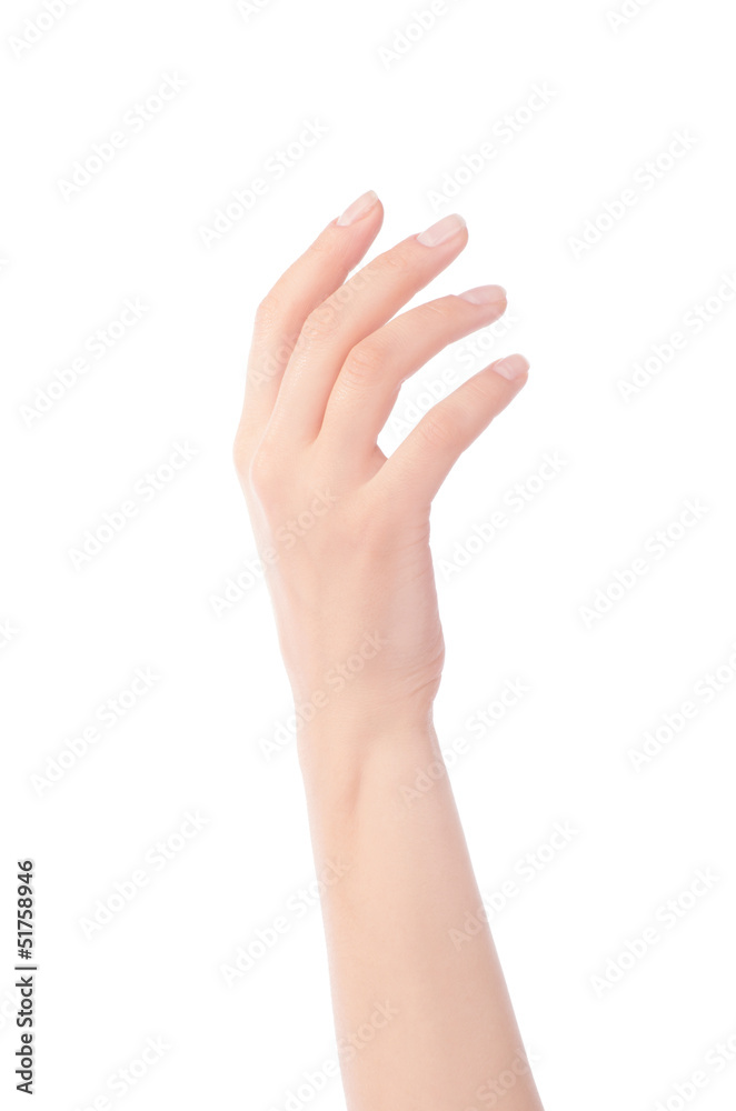 Empty open woman hand Empty open woman hand
