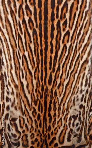 leopard texture background