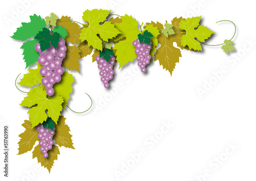 Grapes
