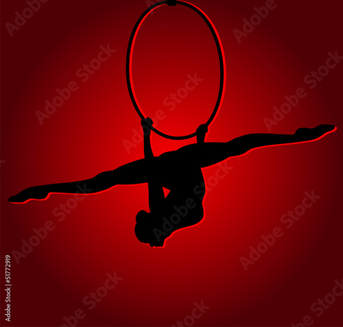Air gymnast