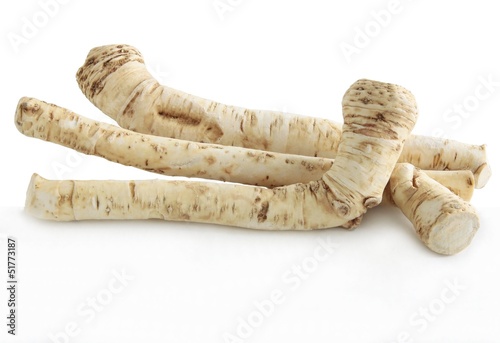 Canvas Print roots of horseradish as spicy vegetable