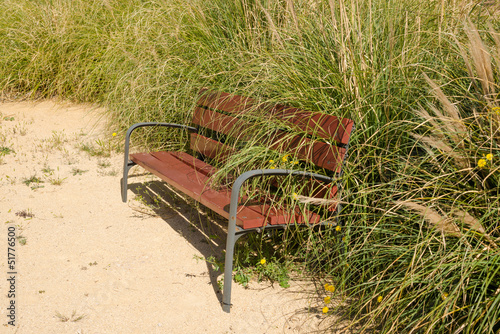 Overgrown park bench photo