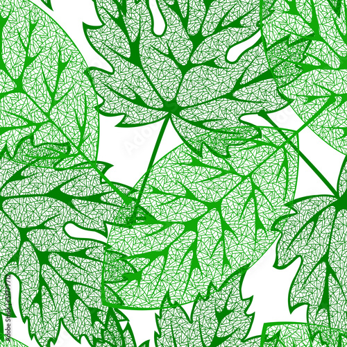 summer leaves