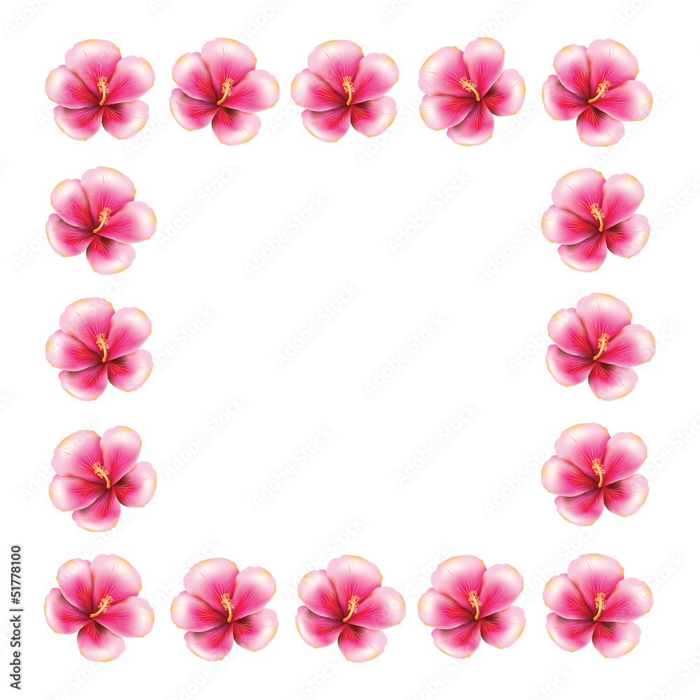 Pink hibiscus frame