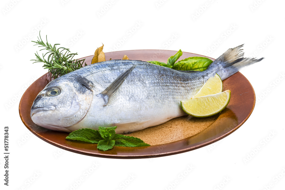 Fresh raw dorada Fresh raw dorada