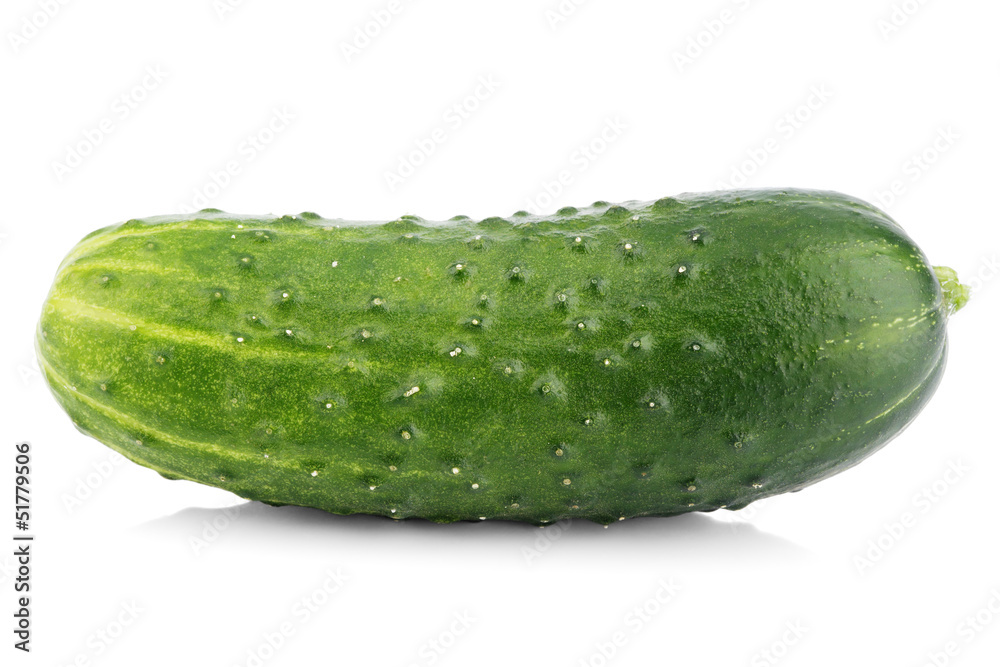 Single cucumber vegetable isolated on white with shadow Single cucumber vegetable isolated on white with shadow