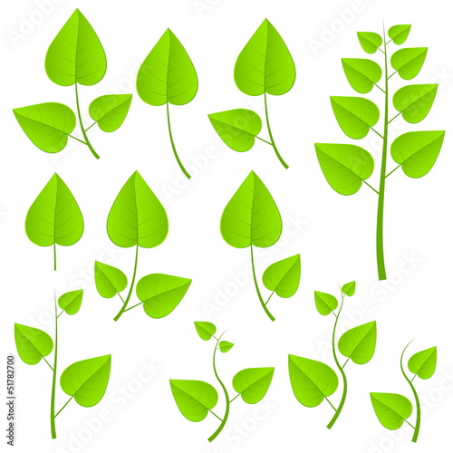 green plant set
