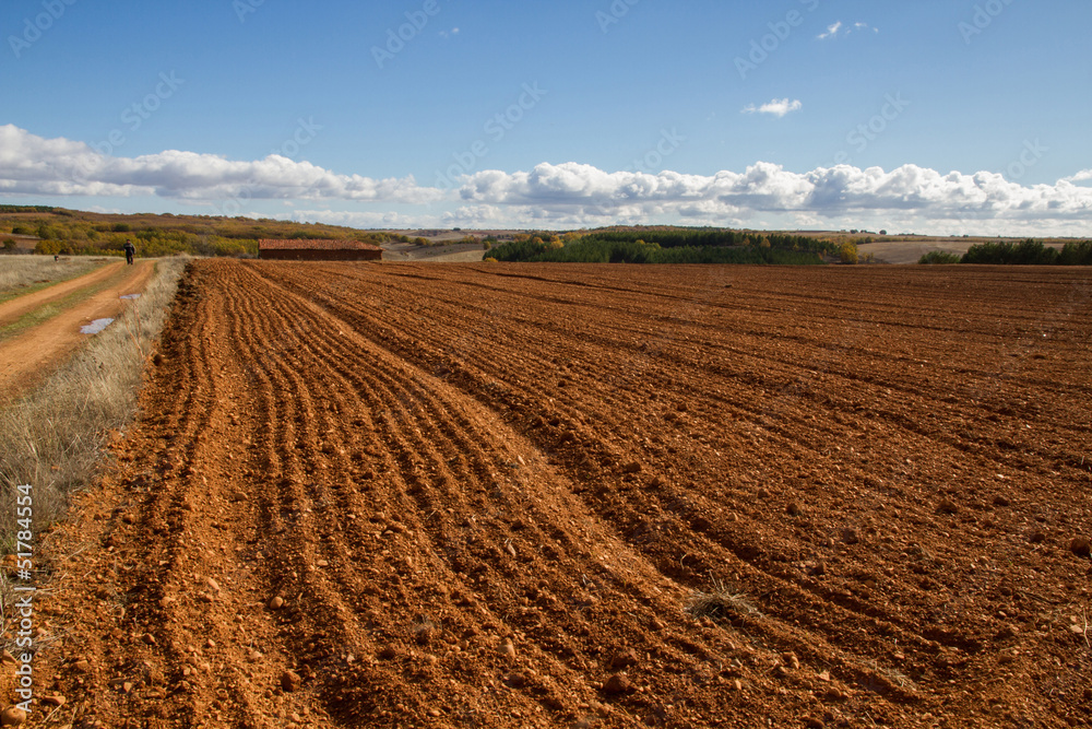 paisaje de campo