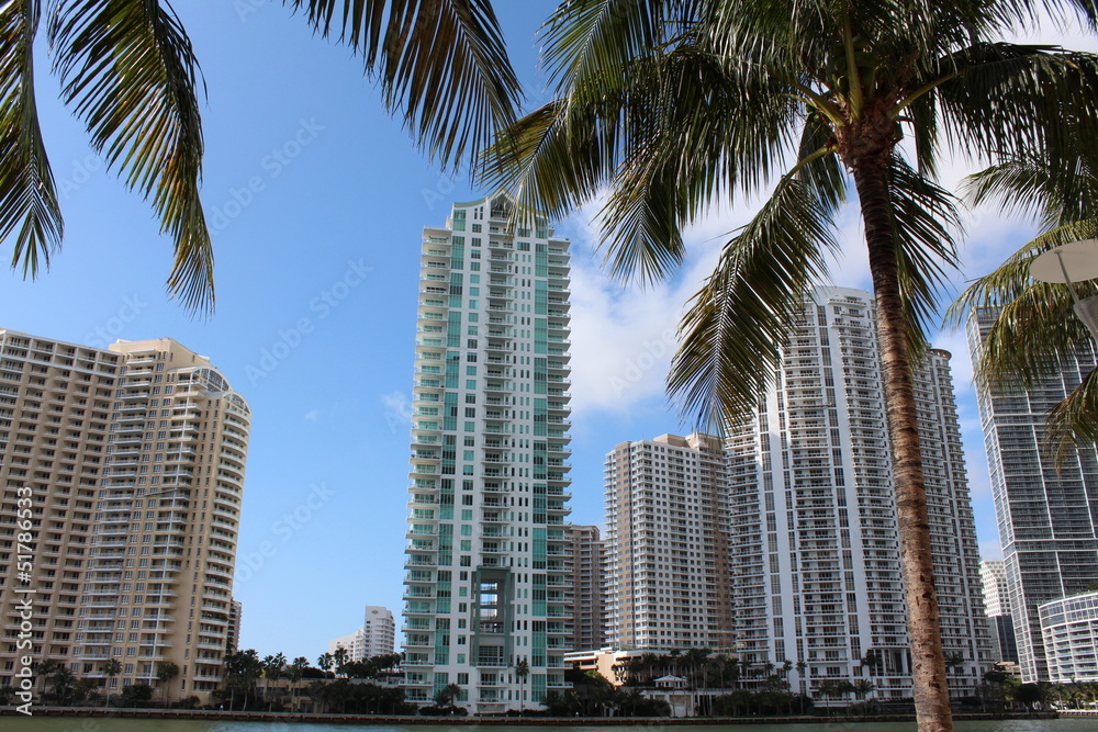 Congested cityscape and palm trees Congested cityscape and palm trees