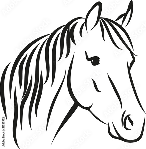 horse with long mane