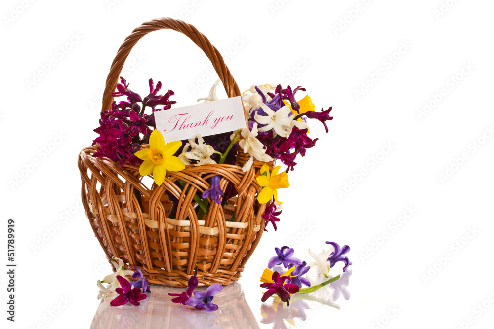 hyacinth hyacinth