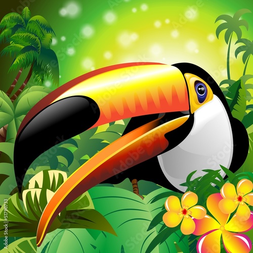 Toucan Close Up Art Design Tucano-Vector