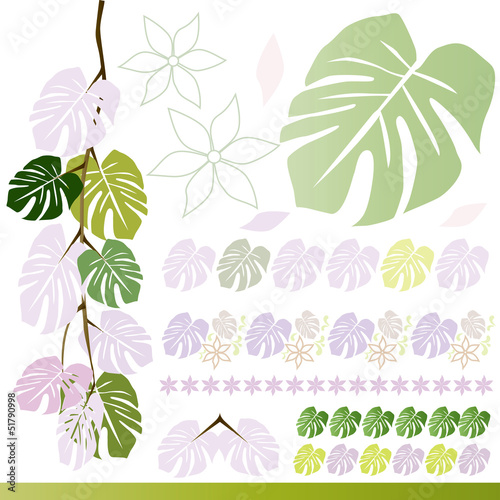 monstera   material set