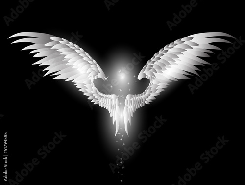 angel wings on dark background
