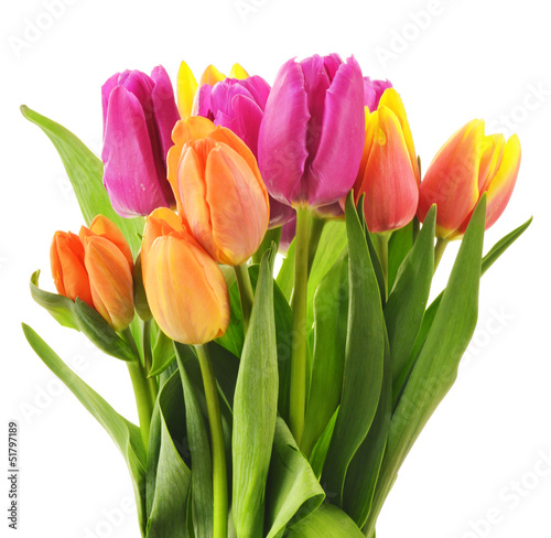 Fototapeta Naklejka Na Ścianę i Meble -  Bouquet of tulips on white background. Tulipa