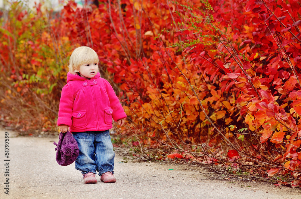 autumn toddler autumn toddler