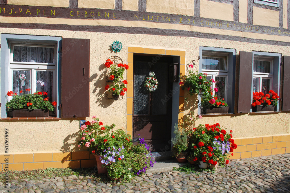 Blumen vor dem Haus Blumen vor dem Haus