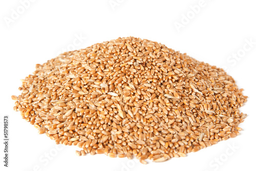 wheat on a white background