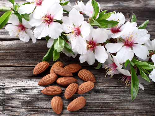 Almonds kernel with flowers