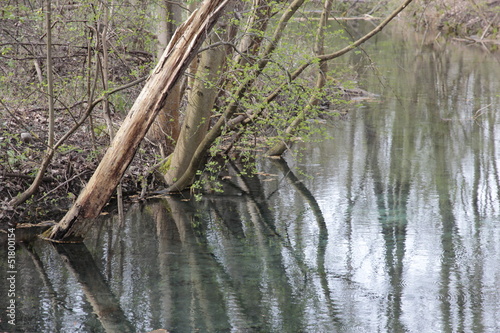 Cours d eau sauvage et naturel