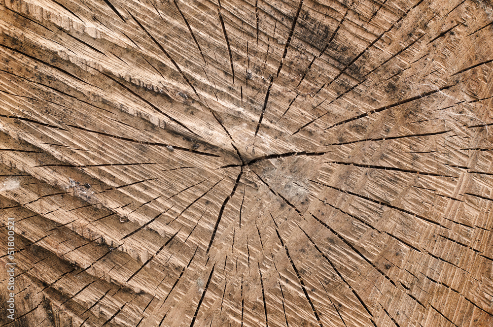 Fototapeta premium Drewniane tło