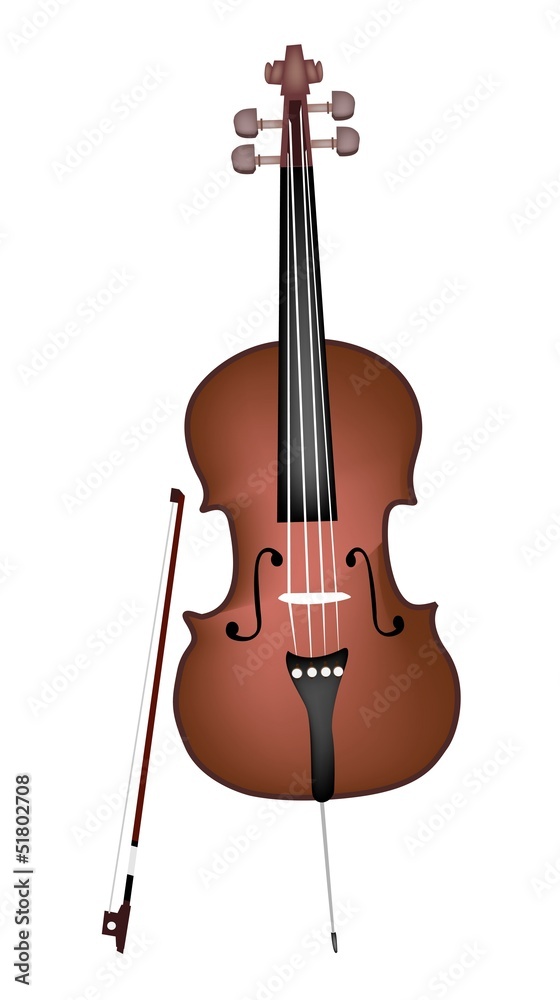 Fototapeta premium A Beautiful Brown Cello on White Background