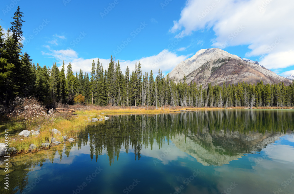 Reflection of Mount Buller in Buller Pond