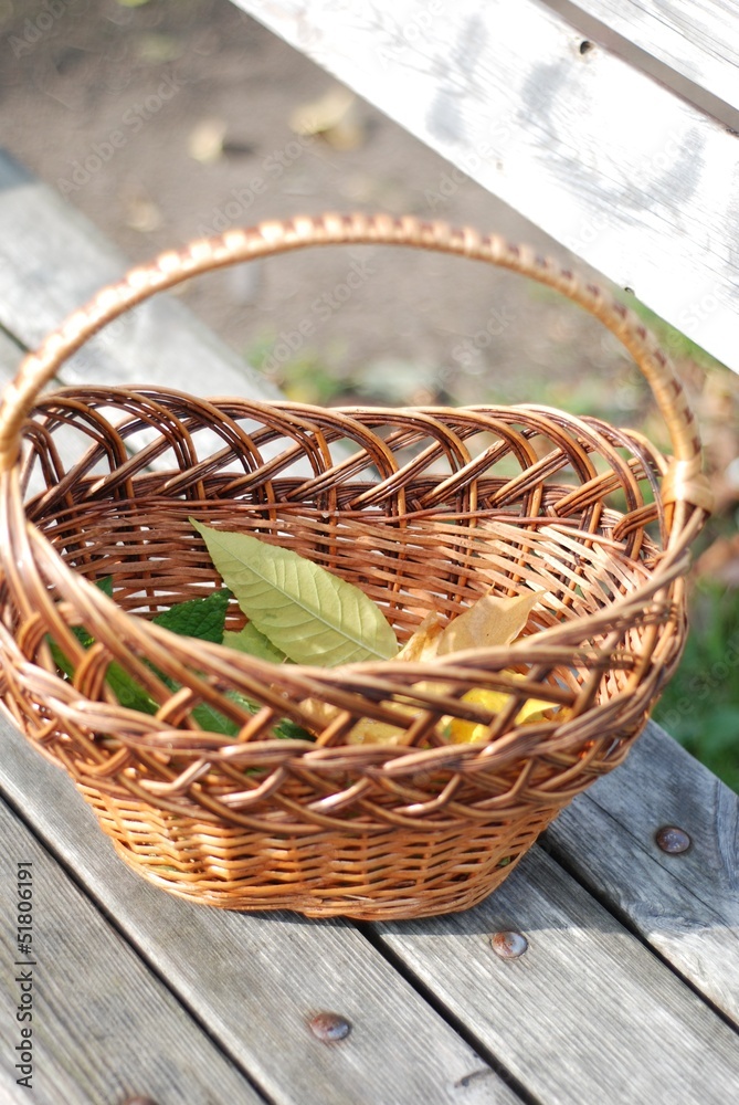 Basket with leaves