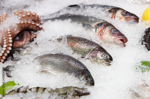 Trout, seabass and other seafood on market display
