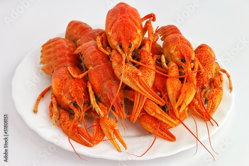 Boiled crawfish is isolated on the plate