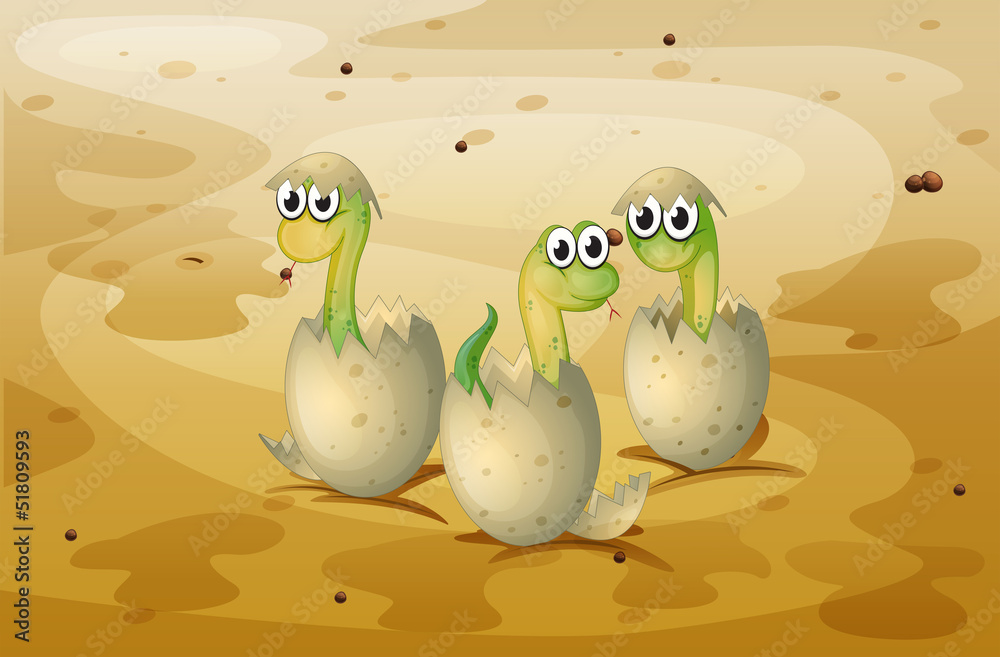 Fototapeta premium Three little snakes