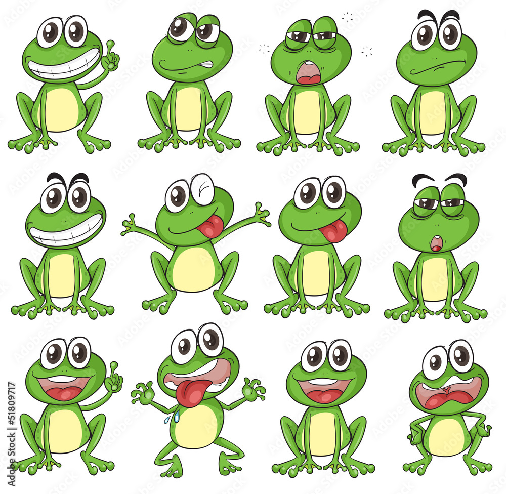 Naklejka premium Different faces of a frog