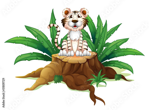 A tiger above a trunk