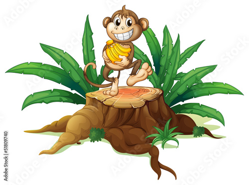 A trunk with a monkey holding bananas